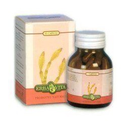 ARTIGLIO DIAVOLO ERBA VITA 60 CAPSULE 