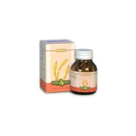 ARTIGLIO DIAVOLO ERBA VITA 60 CAPSULE 