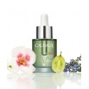 CAUDALIE VINE ACTIVE OLIO DA NOTTE DETOSSIFICANTE 30 ML