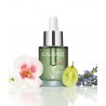 CAUDALIE VINEACTIVE OLIO DA NOTTE DETOSSIFICANTE 30 ML